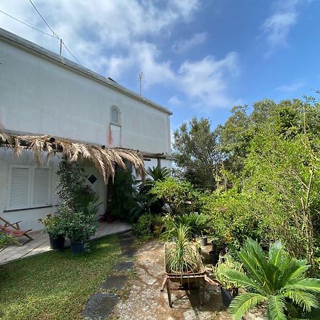 Le Dimore Di Zaro - Green Paradise Forio di Ischia Værelse billede