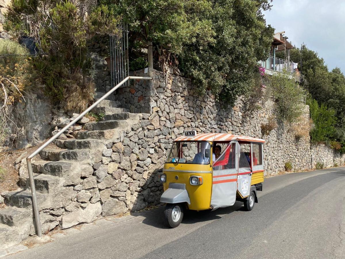 Le Dimore Di Zaro - Green Paradise Forio di Ischia Eksteriør billede